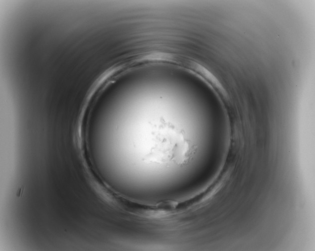 X0000099571082200805231527