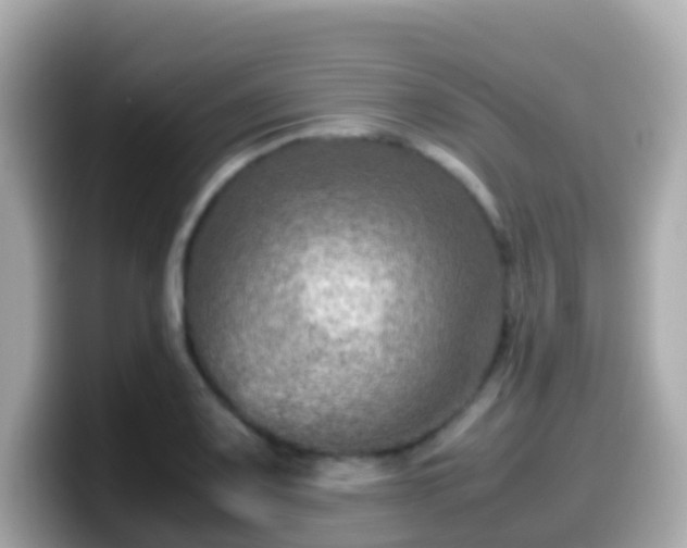 X0000099571083200805231527