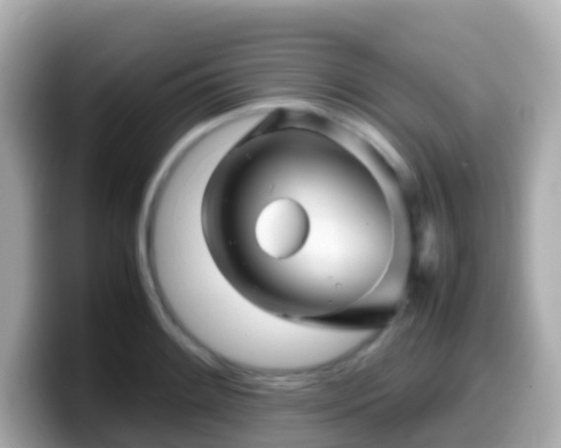 X0000099571084200805231527