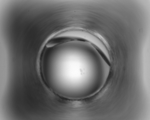 X0000099571085200805231527