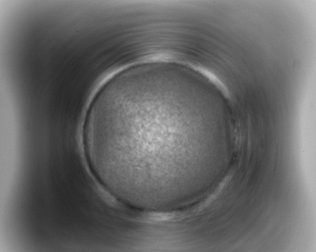 X0000099571086200805231527