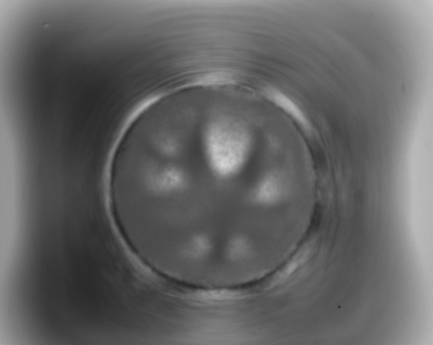 X0000099571087200805231527