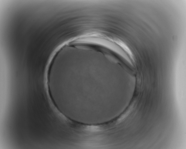 X0000099571088200805231527