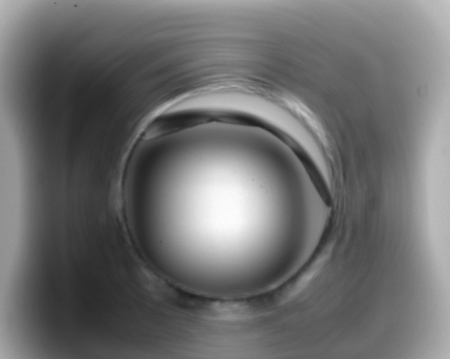 X0000099571089200805231527