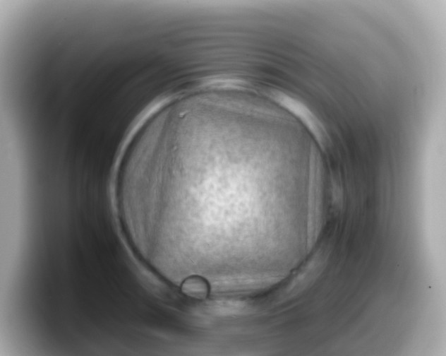 X0000099571090200805231527