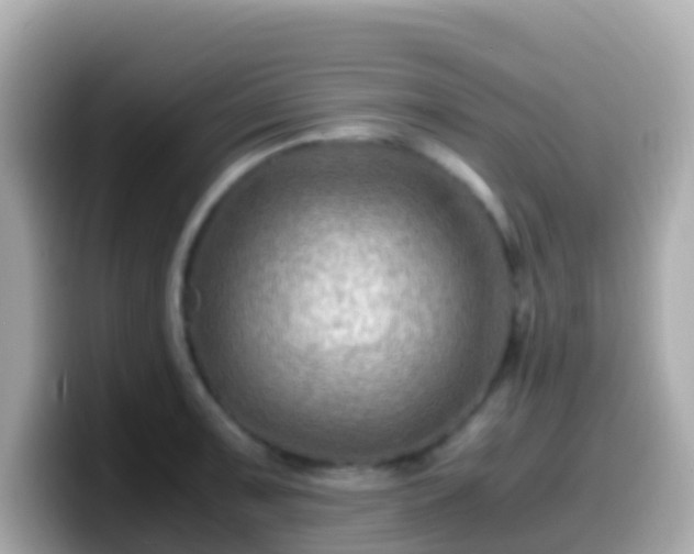 X0000099571091200805231527