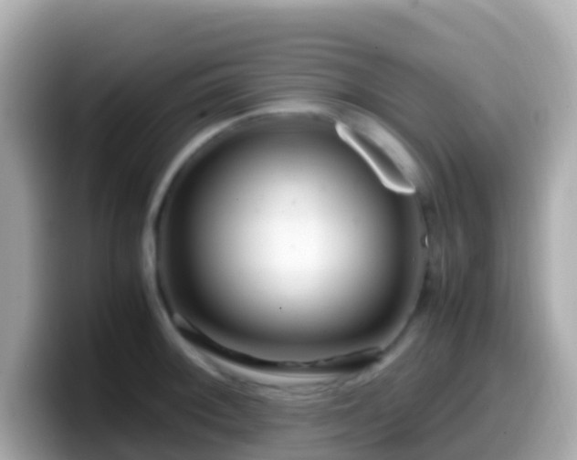 X0000099571092200805231527