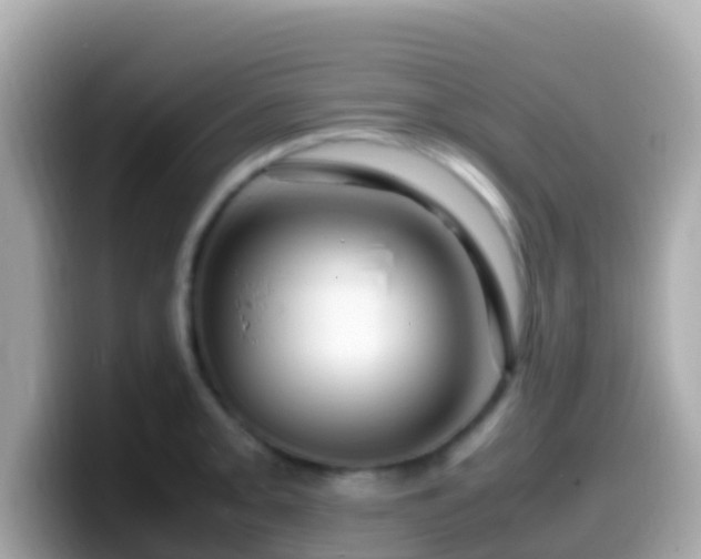 X0000099571093200805231527