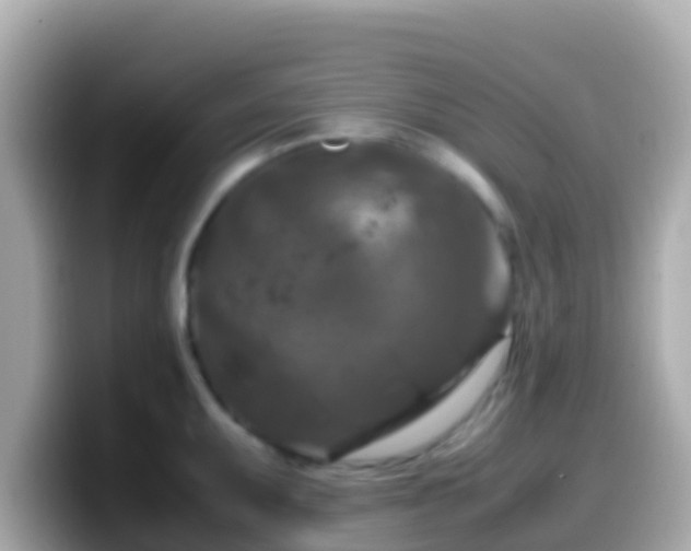 X0000099571095200805231527