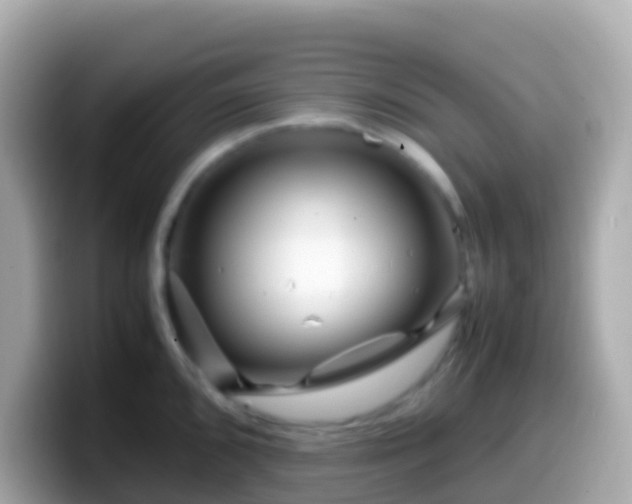 X0000099571096200805231527