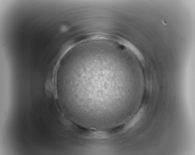 X0000099571097200805231527