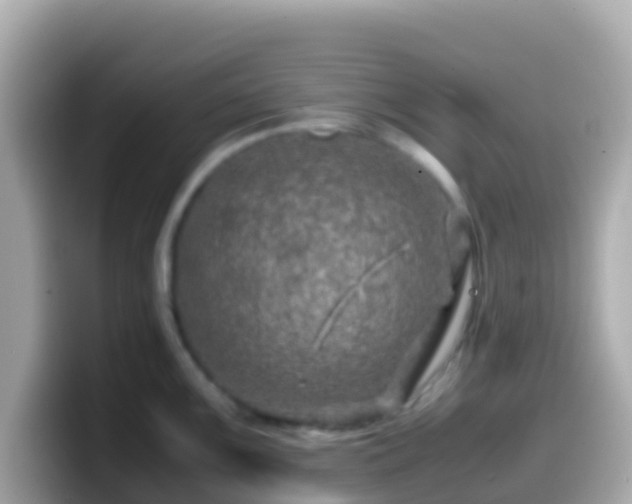 X0000099571099200805231526