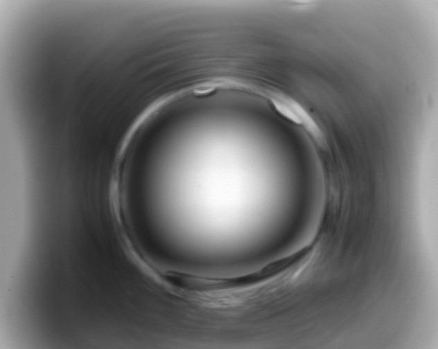 X0000099571100200805231526