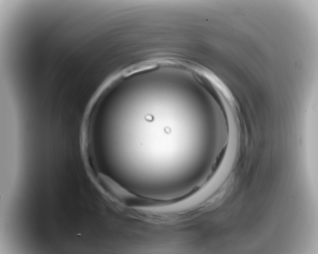 X0000099571101200805231526