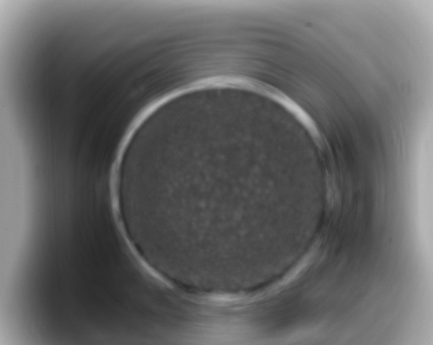 X0000099571102200805231526