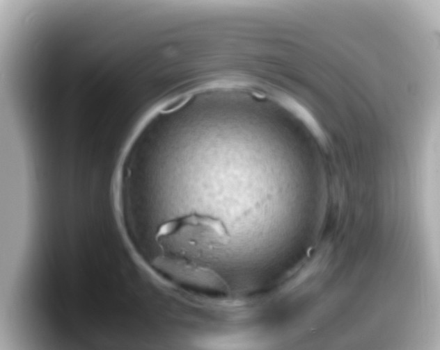 X0000099571103200805231526