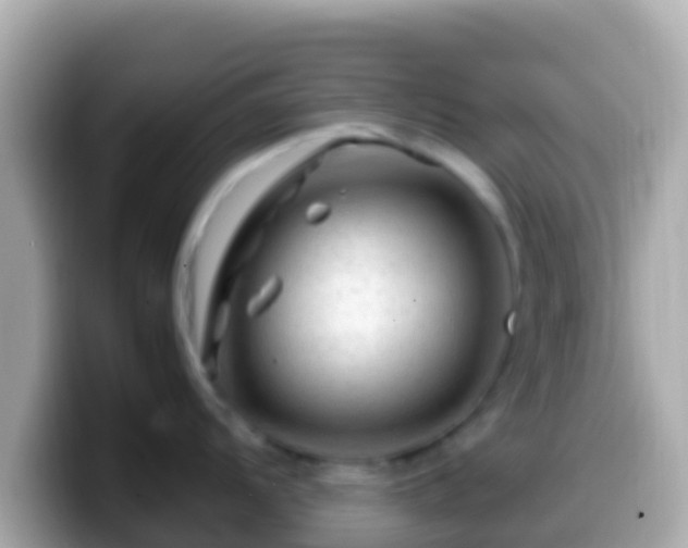 X0000099571104200805231526