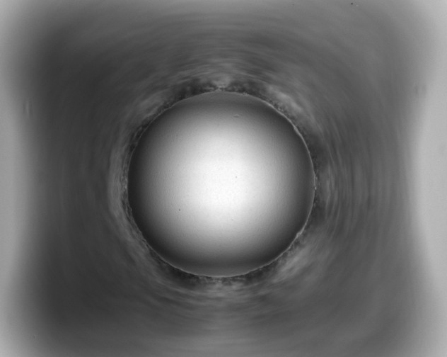 X0000099571105200805231526