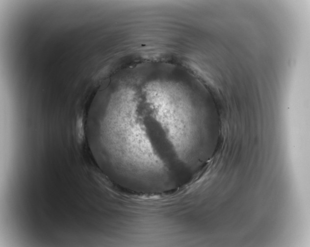 X0000099571106200805231526