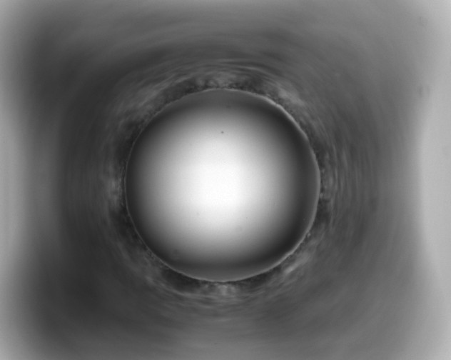 X0000099571109200805231526