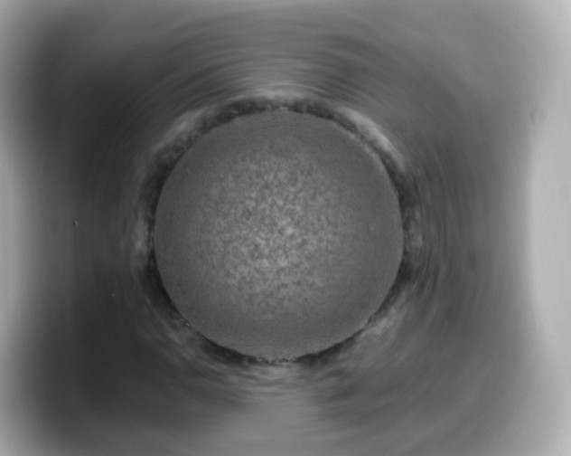 X0000099571110200805231526