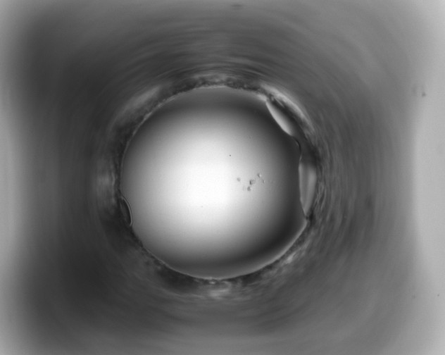 X0000099571111200805231526