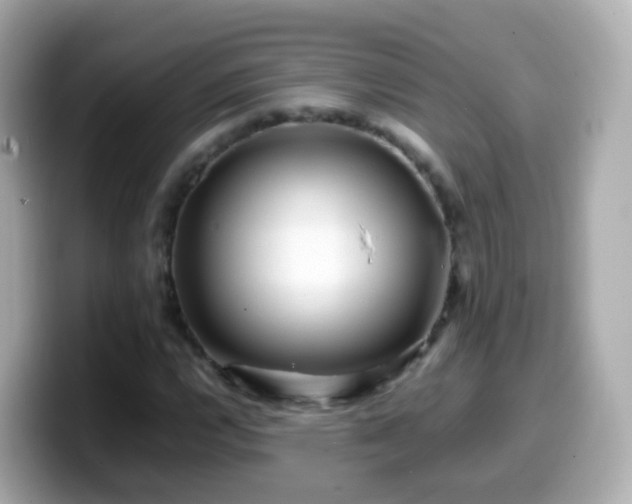 X0000099571112200805231526