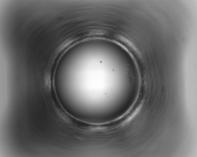 X0000099571113200805231526