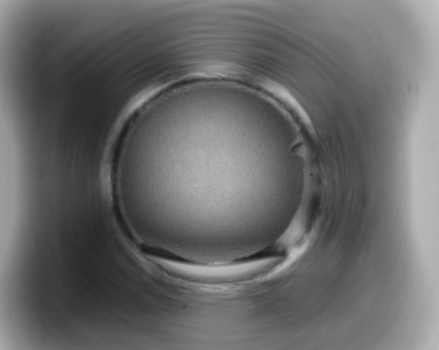 X0000099571114200805231526