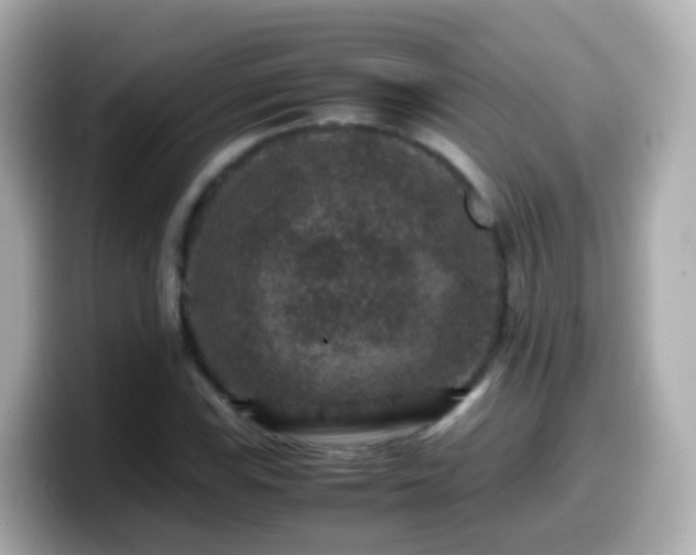 X0000099571115200805231526