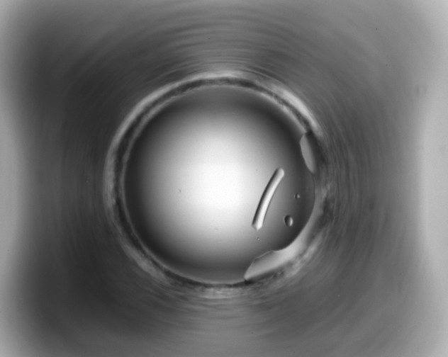 X0000099571116200805231526