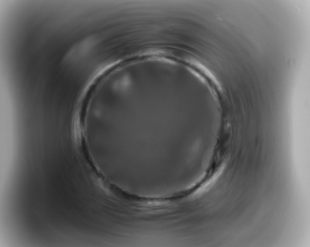 X0000099571117200805231526