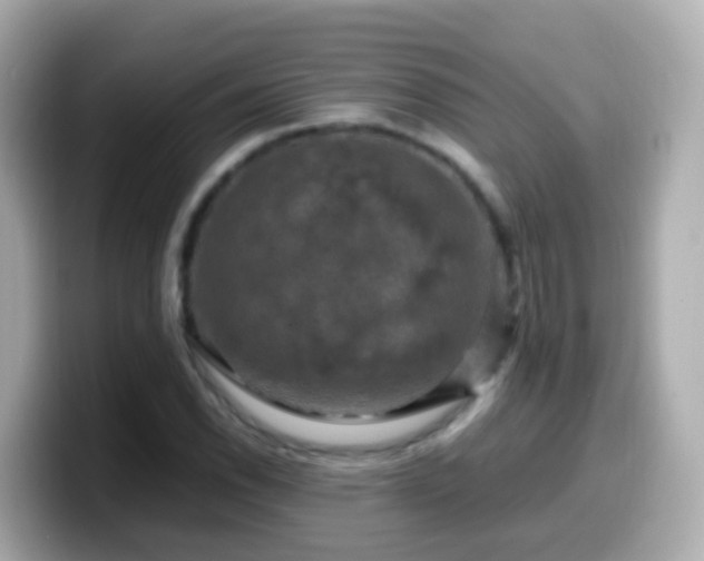 X0000099571118200805231526