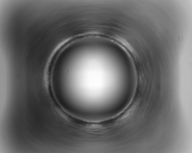 X0000099571119200805231526