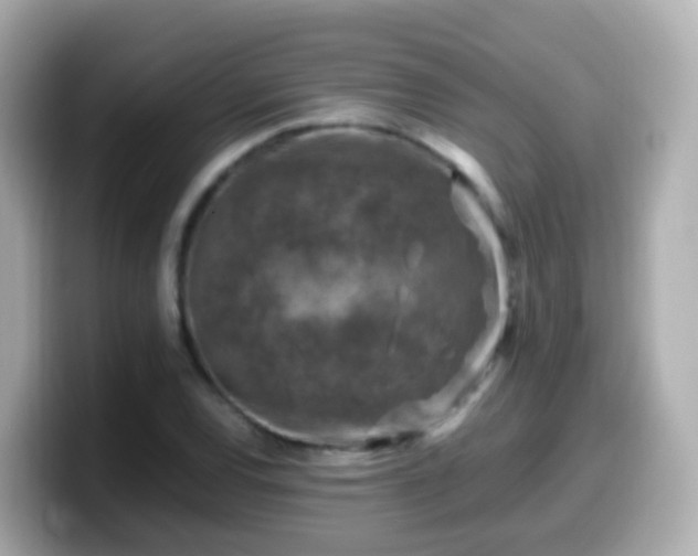 X0000099571120200805231526