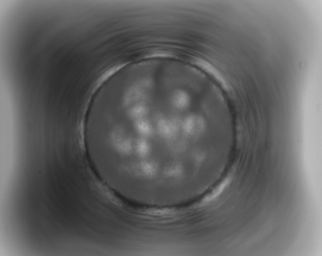 X0000099571121200805231526