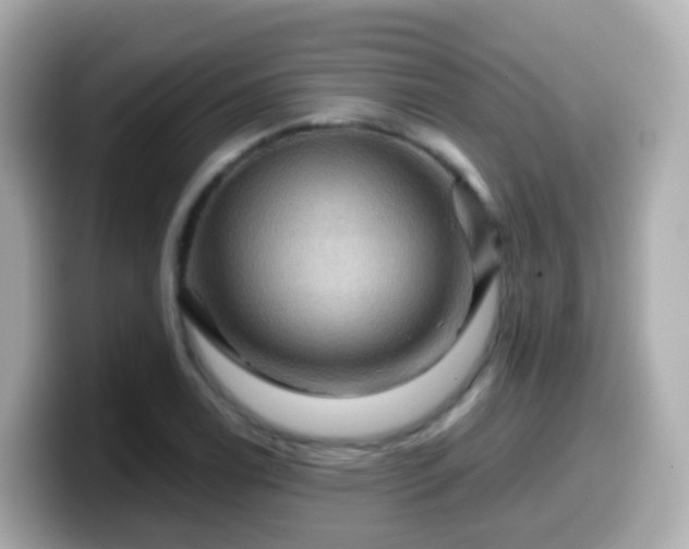 X0000099571122200805231526