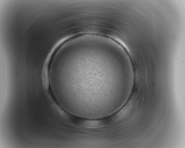 X0000099571123200805231526