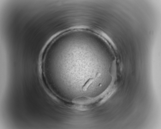 X0000099571124200805231526