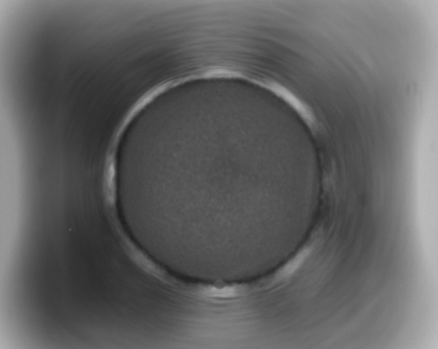 X0000099571126200805231526