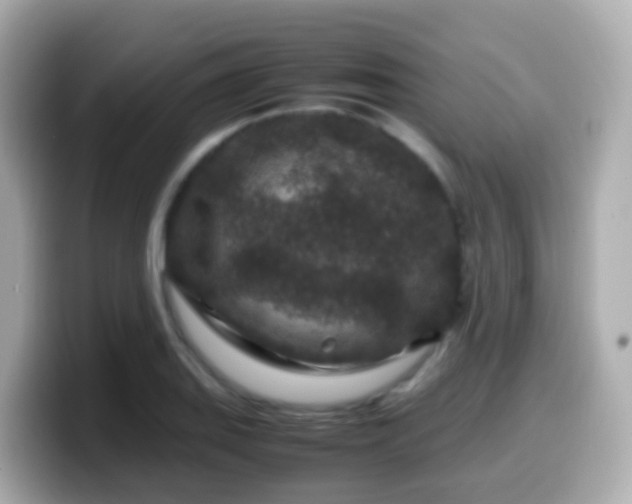 X0000099571127200805231526