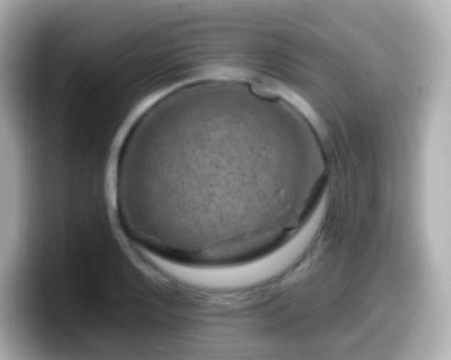 X0000099571128200805231526