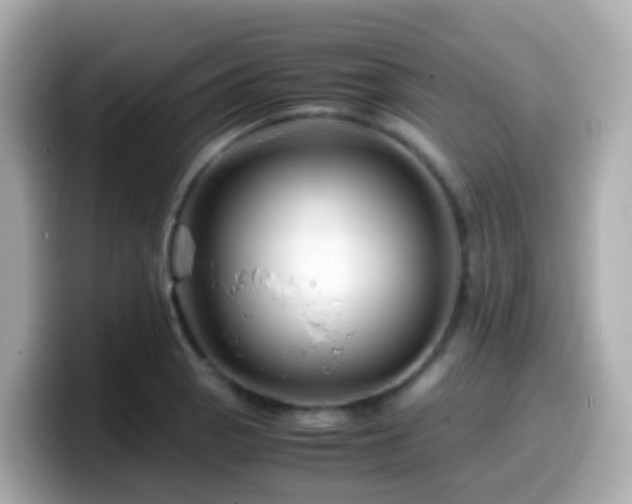 X0000099571129200805231526