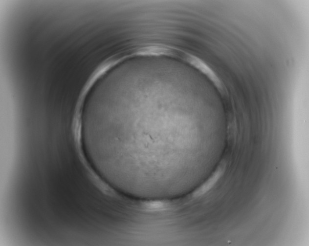 X0000099571130200805231526