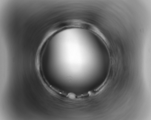 X0000099571131200805231526