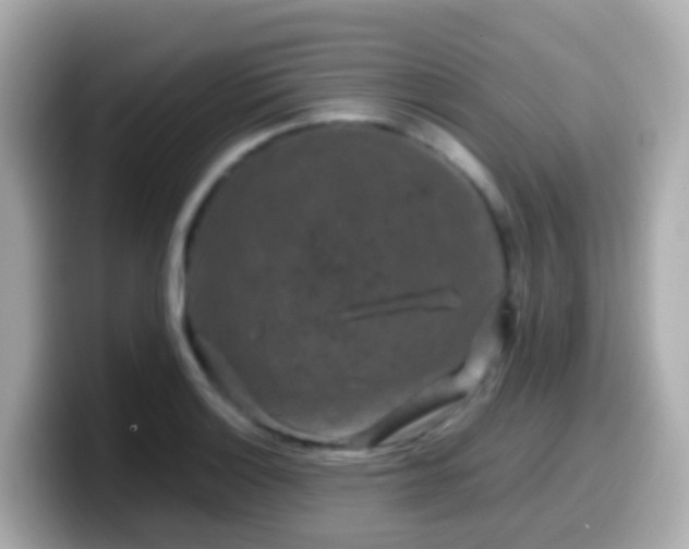 X0000099571132200805231526