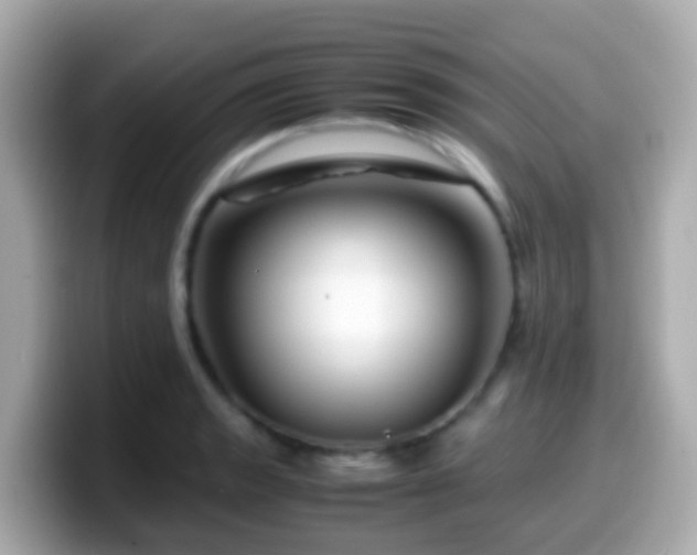 X0000099571133200805231526