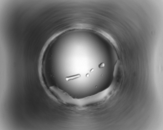 X0000099571136200805231526