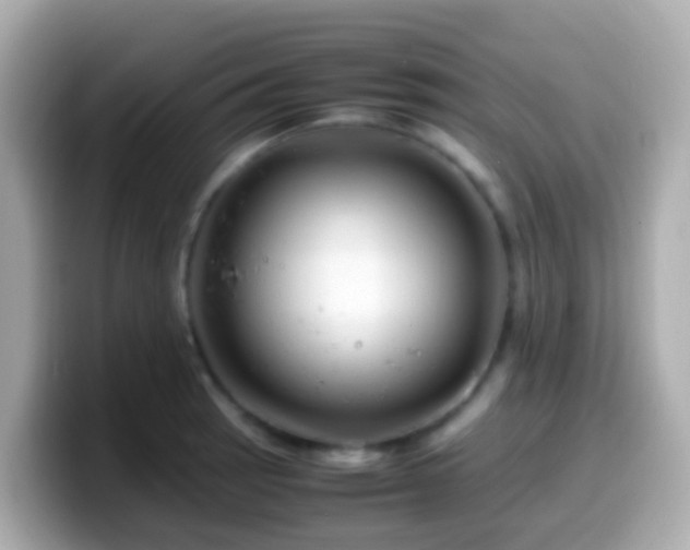 X0000099571137200805231526