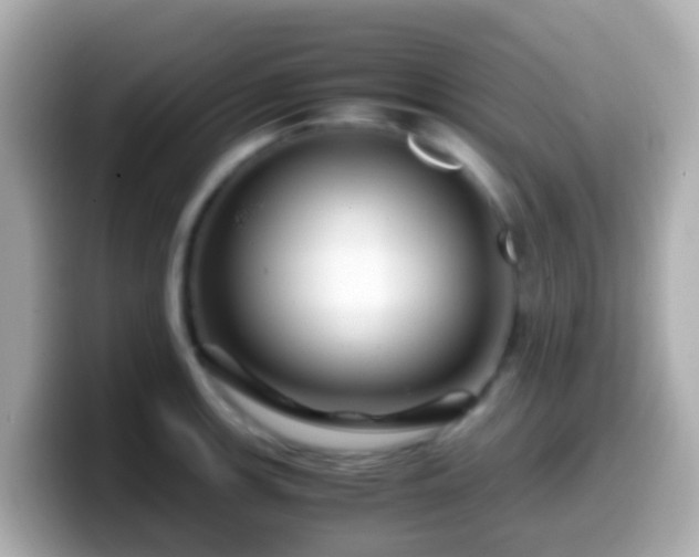 X0000099571139200805231526